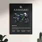 Cuadro Moto Kawasaki Ninja Zx-6r + Marco - Miniatura 1