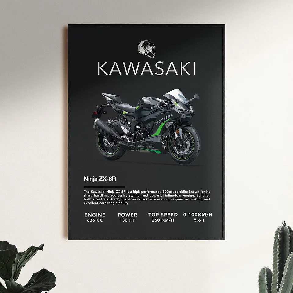 Cuadro Moto Kawasaki Ninja Zx-6r + Marco 1