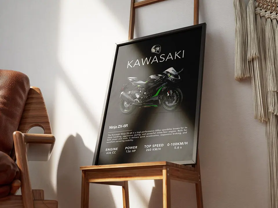 Cuadro Moto Kawasaki Ninja Zx-6r + Marco 2