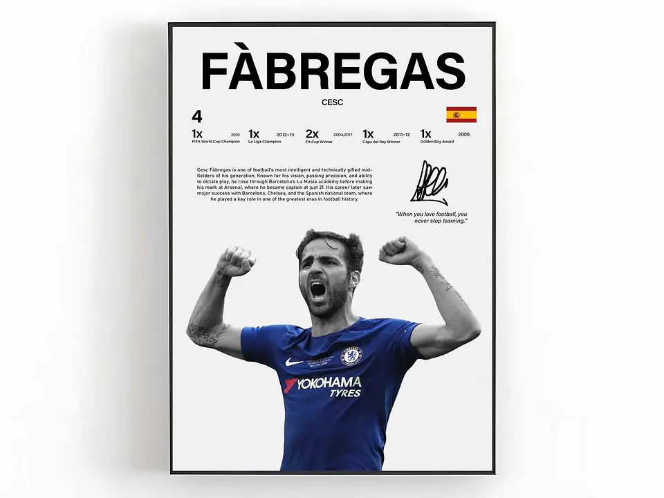 Cuadro Cesc Fàbregas Fútbol Maestro del Mediocampo + Marco 1
