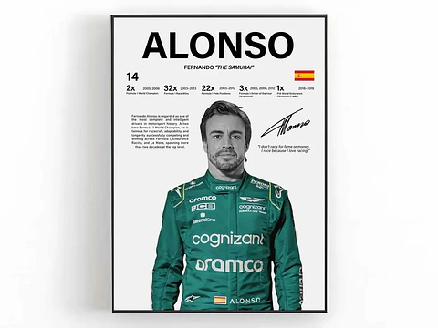 Cuadro Fernando Alonso F1 N°14 “El Nano” Leyenda Española + Marco