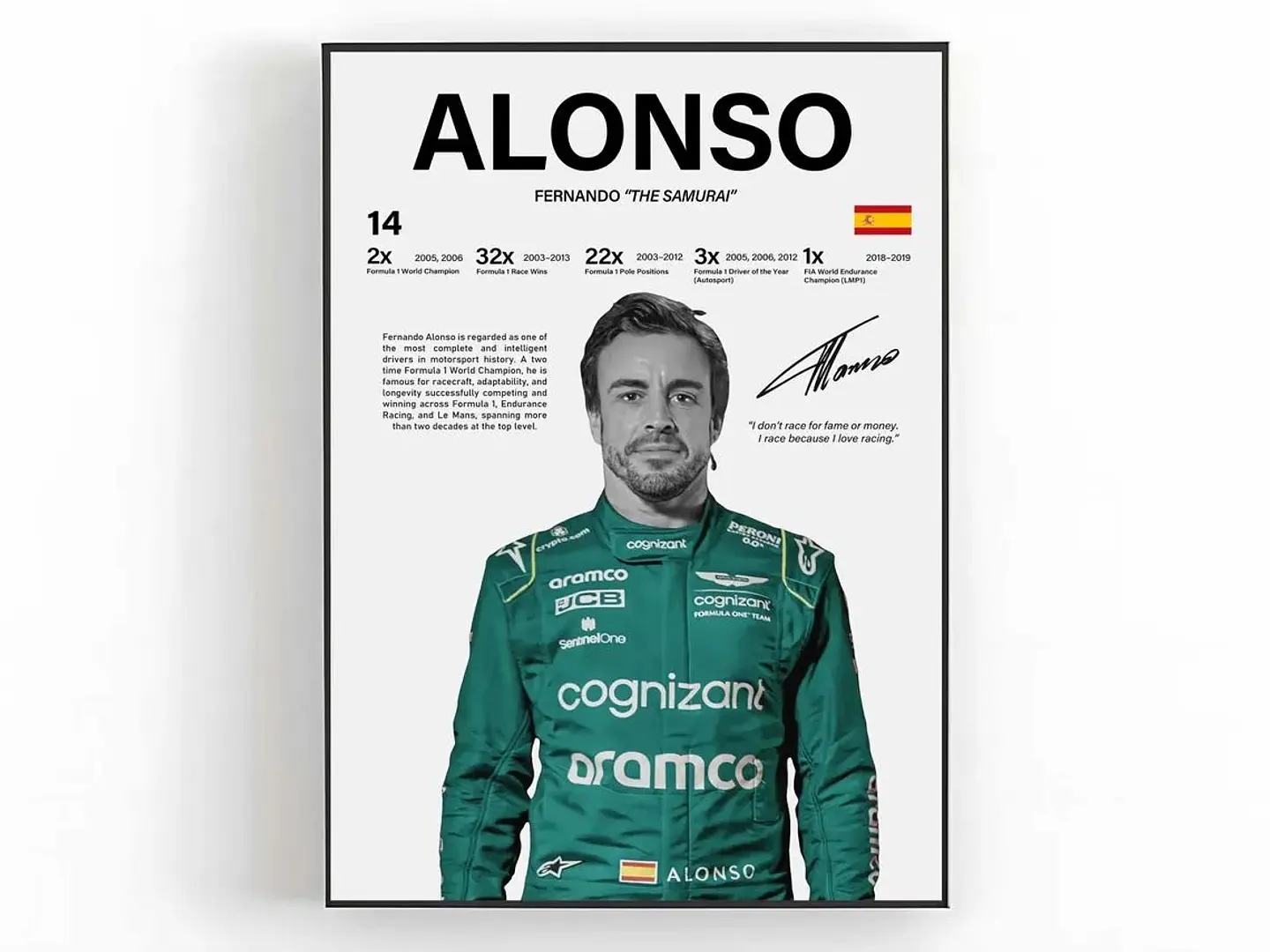 Cuadro Fernando Alonso F1 N°14 “El Nano” Leyenda Española + Marco 1