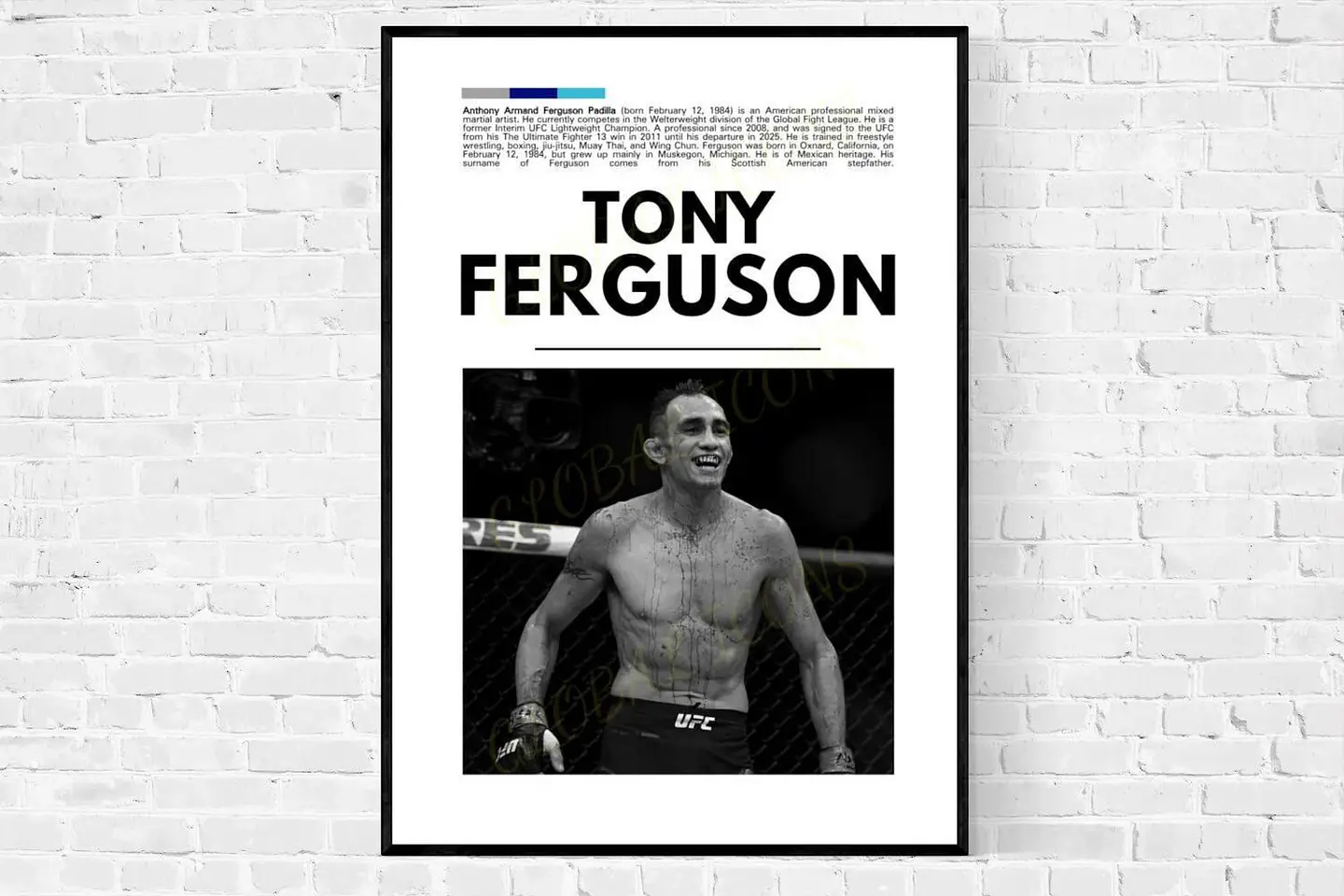 Cuadro Tony Ferguson “El Cucuy” Peso Ligero UFC + Marco I 1