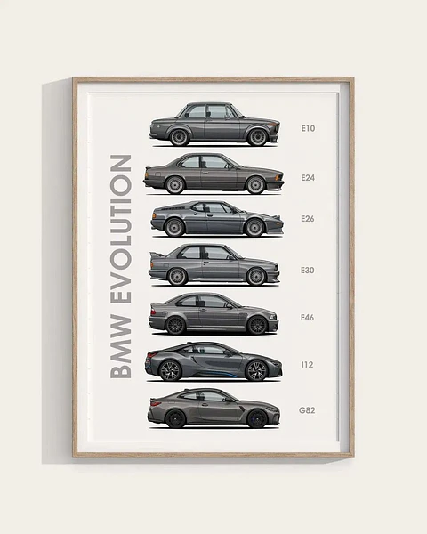 Cuadro Evolución BMW + Marco