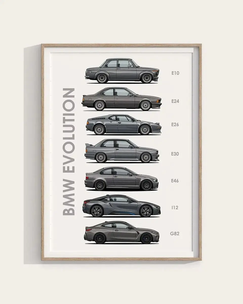 Cuadro Evolución BMW + Marco 1