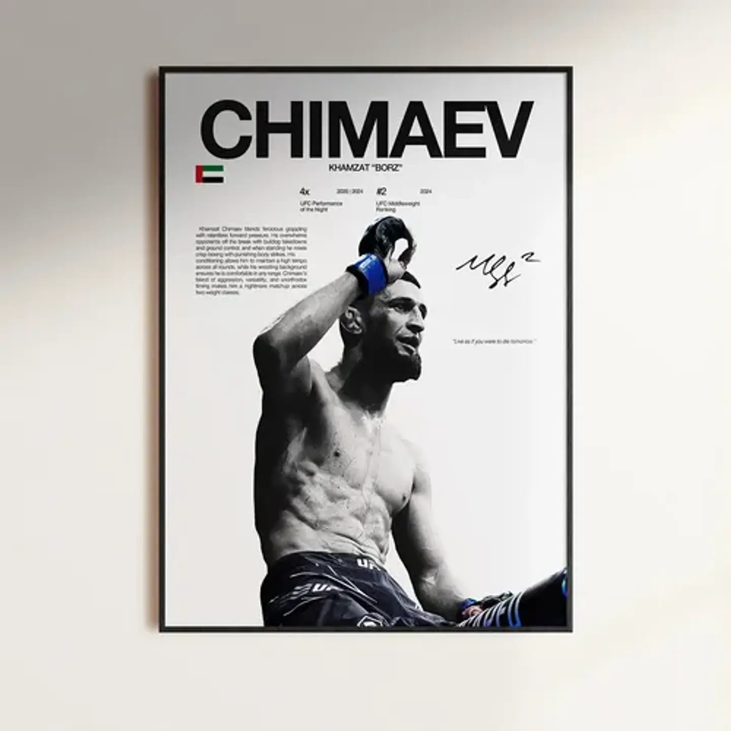 Cuadro De Khamzat Chimaev Ufc Peleador + Marco 2