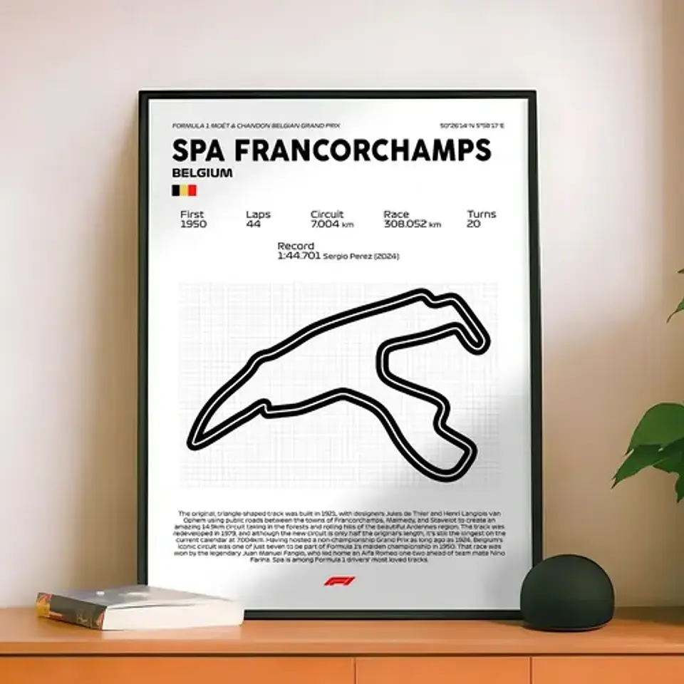 Cuadro F1 Circuito F1 Spa Francochamps 2