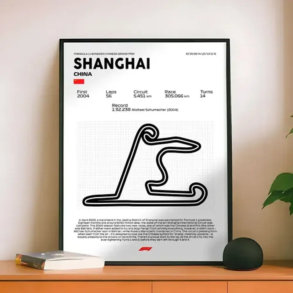 Cuadro F1 Circuito De Shanghái (china Grand Prix) 4