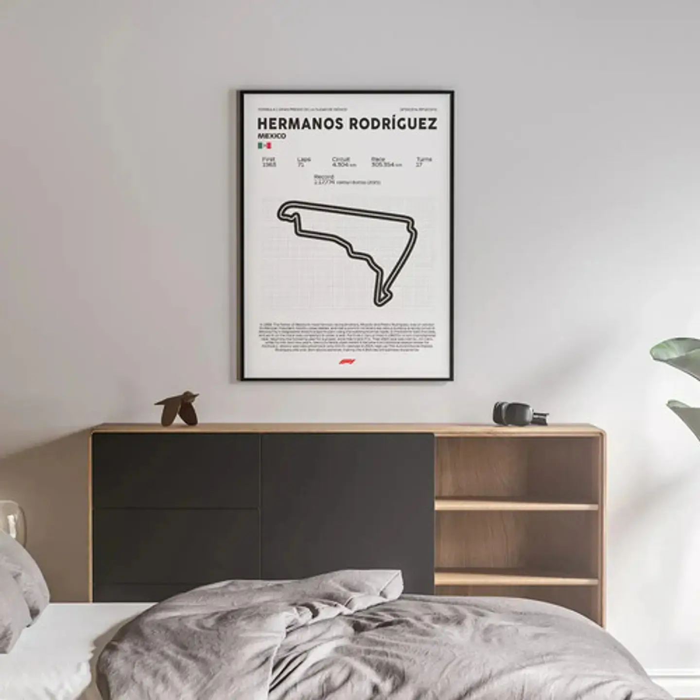 Cuadro F1 Circuito Hermanos Rodríguez (méxico) 3