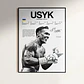 Cuadros Leyendas Boxeo Canelo, Crawford, Usyk, Bivol, Davis - Miniatura 7