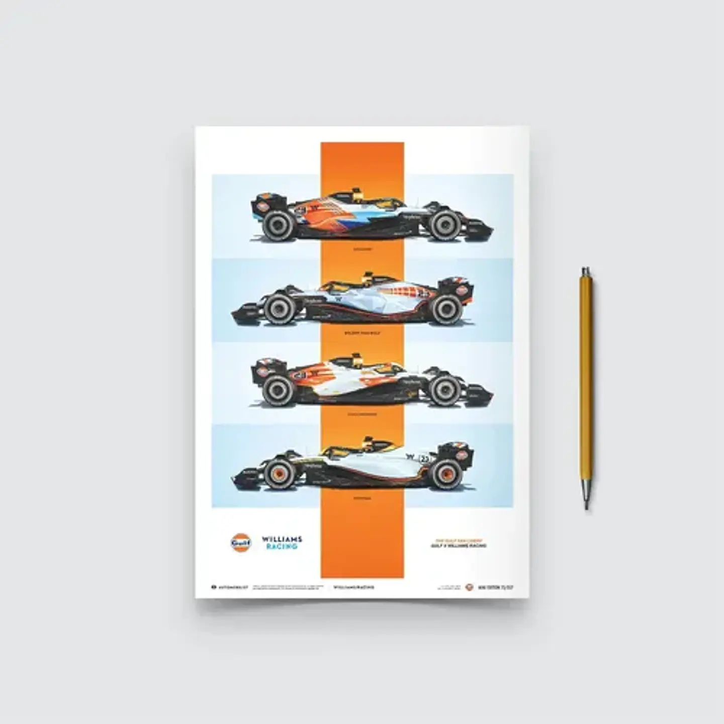 Cuadros De Williams Racing Team F1  + Marco Negro 13