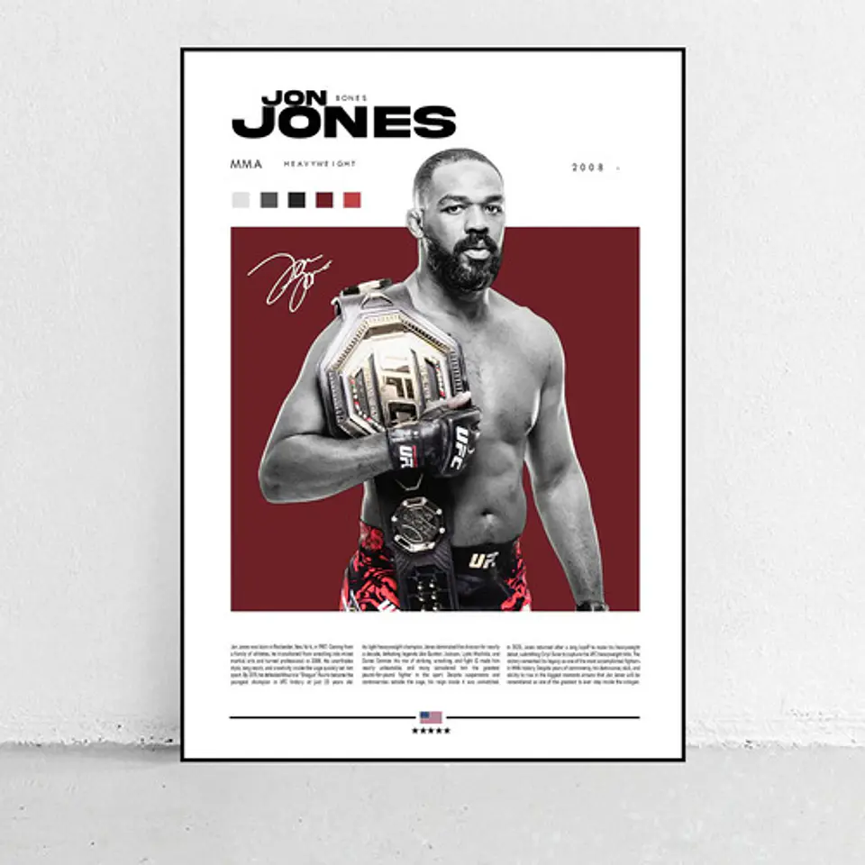 6 Cuadros Ufc Conor, Khabib, Silva, Jones, Pierre Y Cormier 2