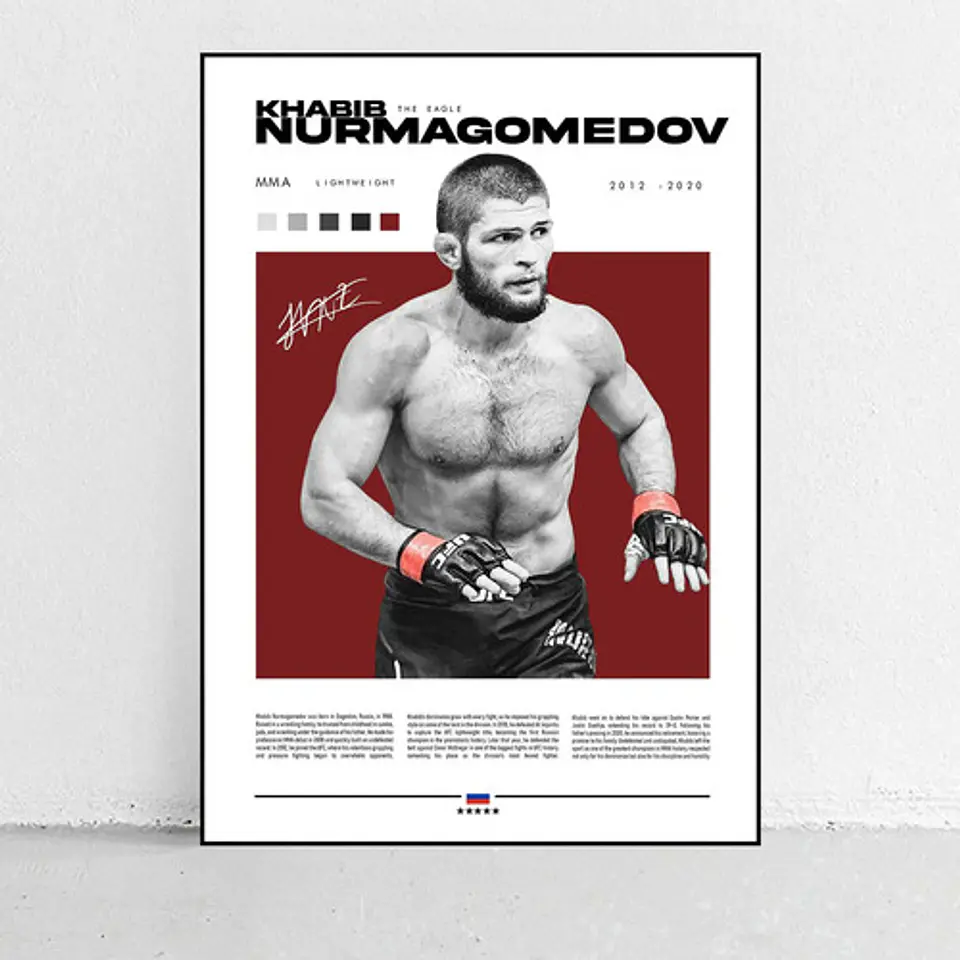 6 Cuadros Ufc Conor, Khabib, Silva, Jones, Pierre Y Cormier 7