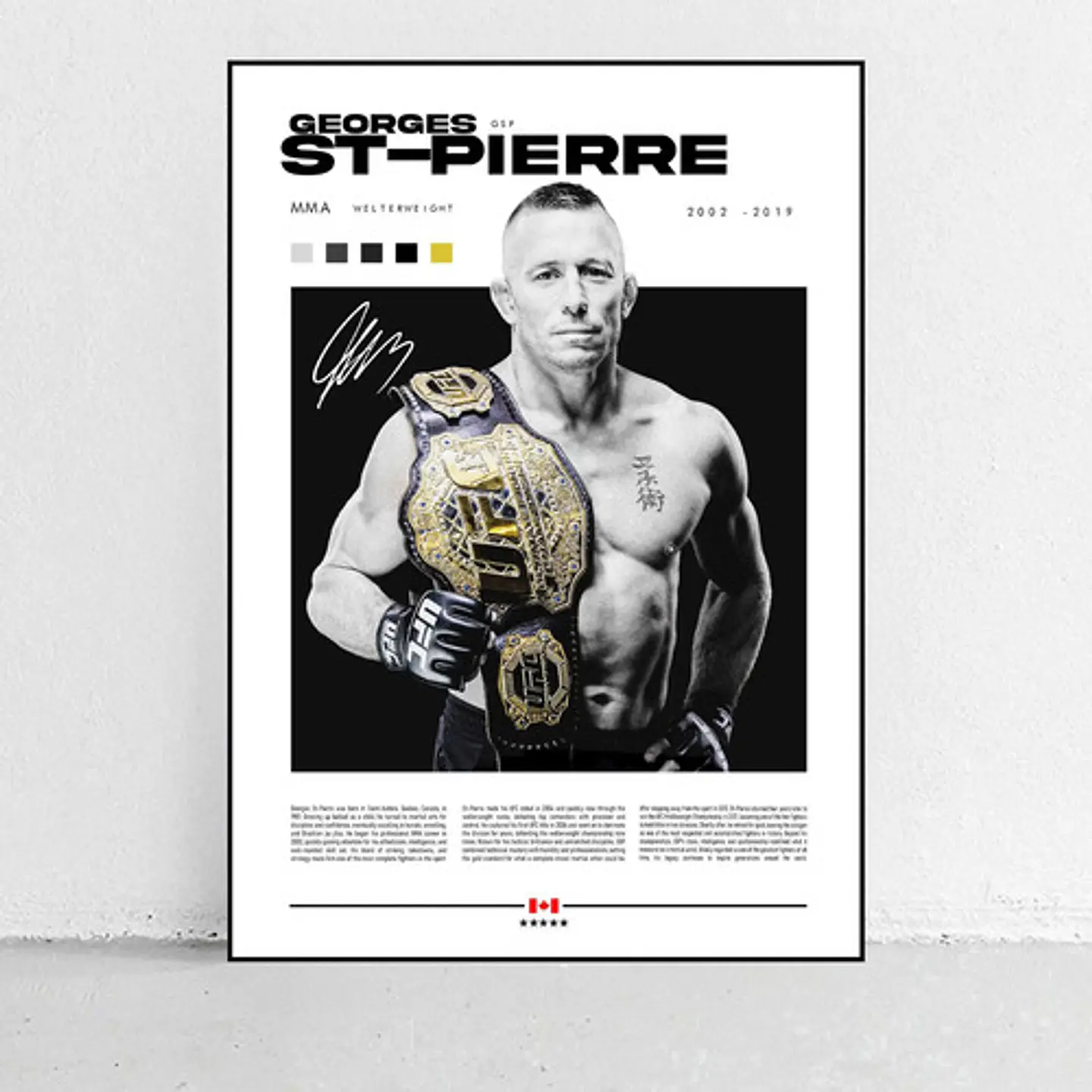 6 Cuadros Ufc Conor, Khabib, Silva, Jones, Pierre Y Cormier 10