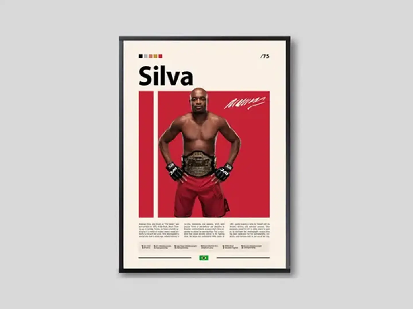 Cuadro De Anderson Silva Ufc Peleador + Marco 5