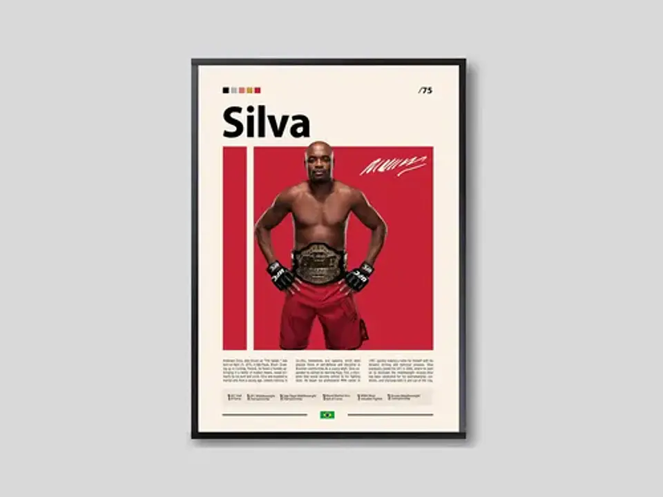 Cuadro De Anderson Silva Ufc Peleador + Marco 5