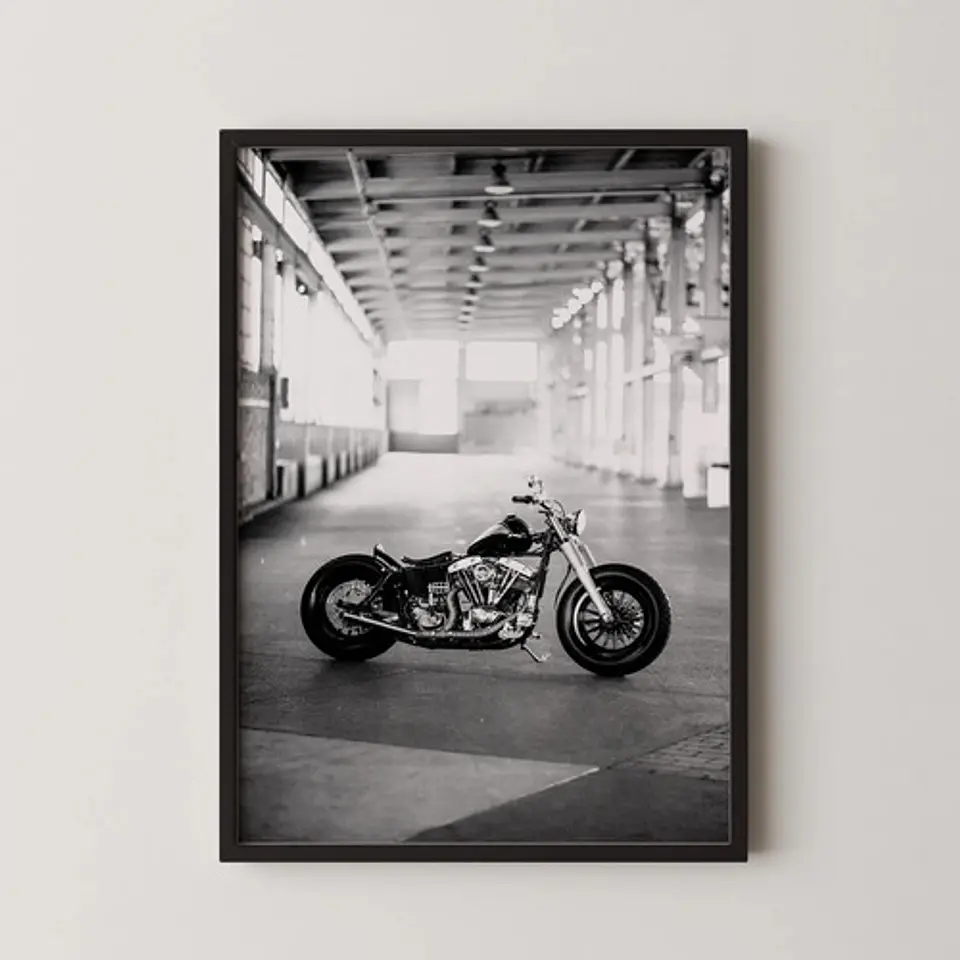 Cuadros Históricos Harley Davidson Motos 3