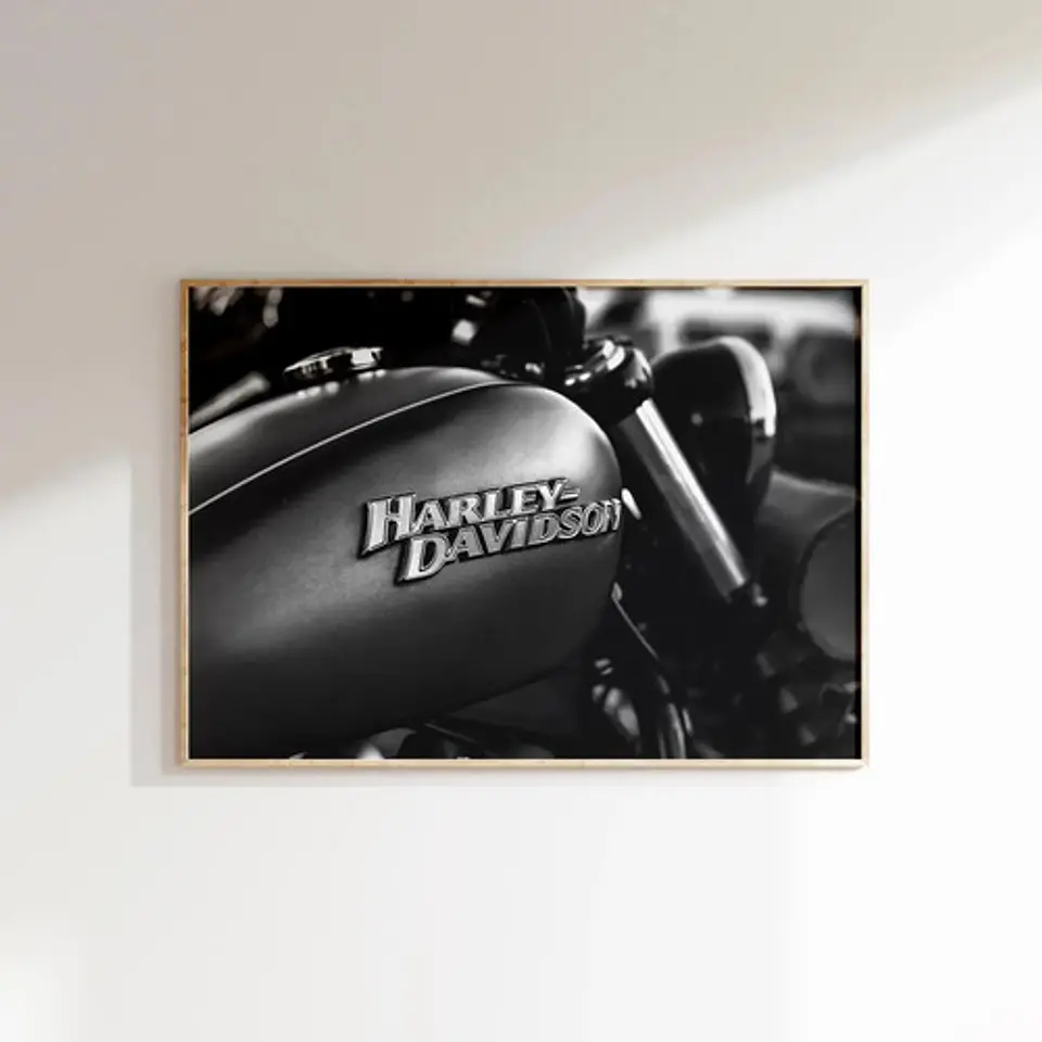 Cuadros Históricos Harley Davidson Motos 9