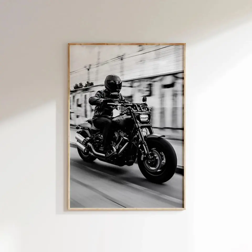 Cuadros Históricos Harley Davidson Motos 10