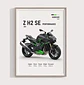 Cuadros De Modelos Motos Kawasaki Ninja + Marco Negro - Miniatura 10