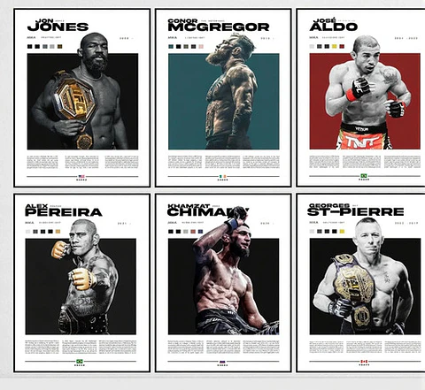 Cuadros De Peleadores Leyendas Ii Ufc Mma + Marco