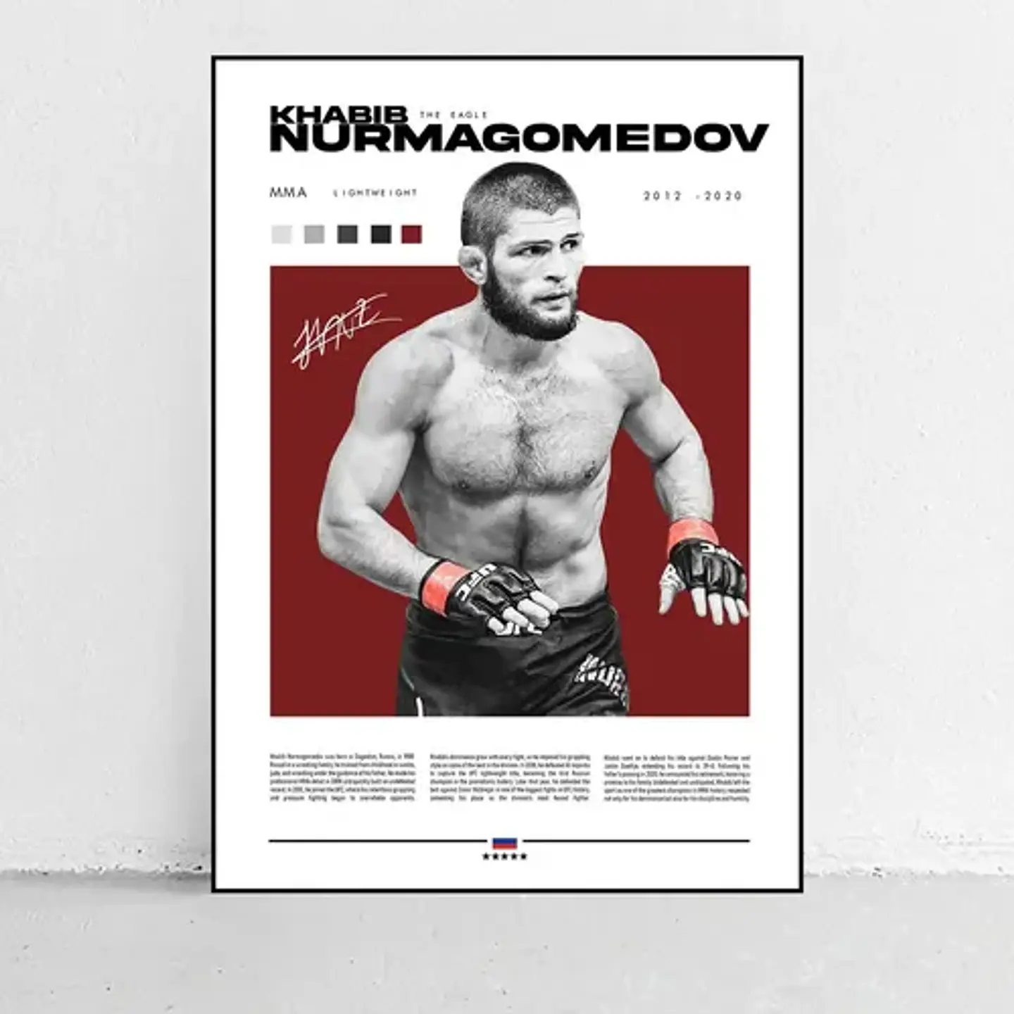 Cuadro De Khabib Nurmagomedov Ufc Peleador + Marco 3