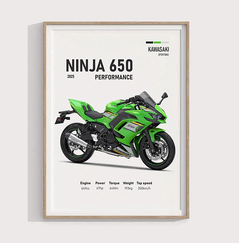 Cuadro Moto 2025 Kawasaki Ninja 650 Deportivo + Marco