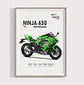 Cuadro Moto 2025 Kawasaki Ninja 650 Deportivo + Marco - Miniatura 2