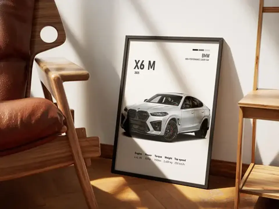 Cuadro Camioneta Bmw X6 M + Marco 1
