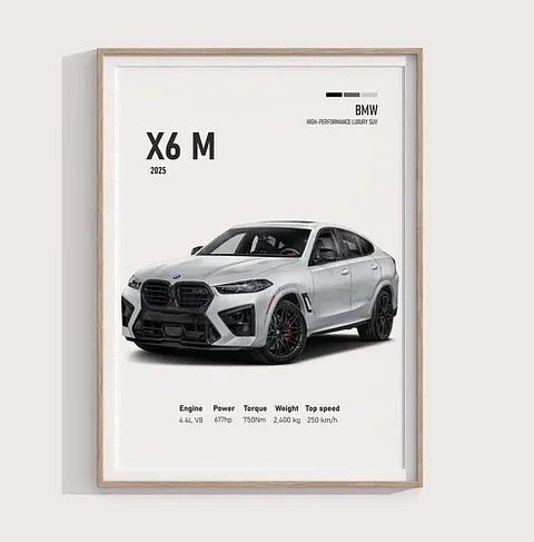 Cuadro Camioneta Bmw X6 M + Marco