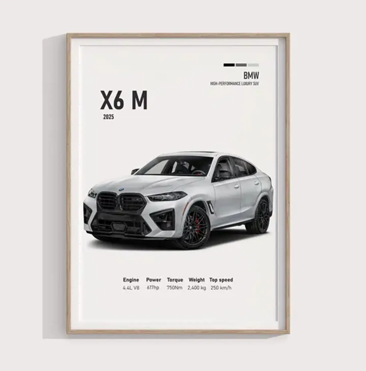 Cuadro Camioneta Bmw X6 M + Marco 2