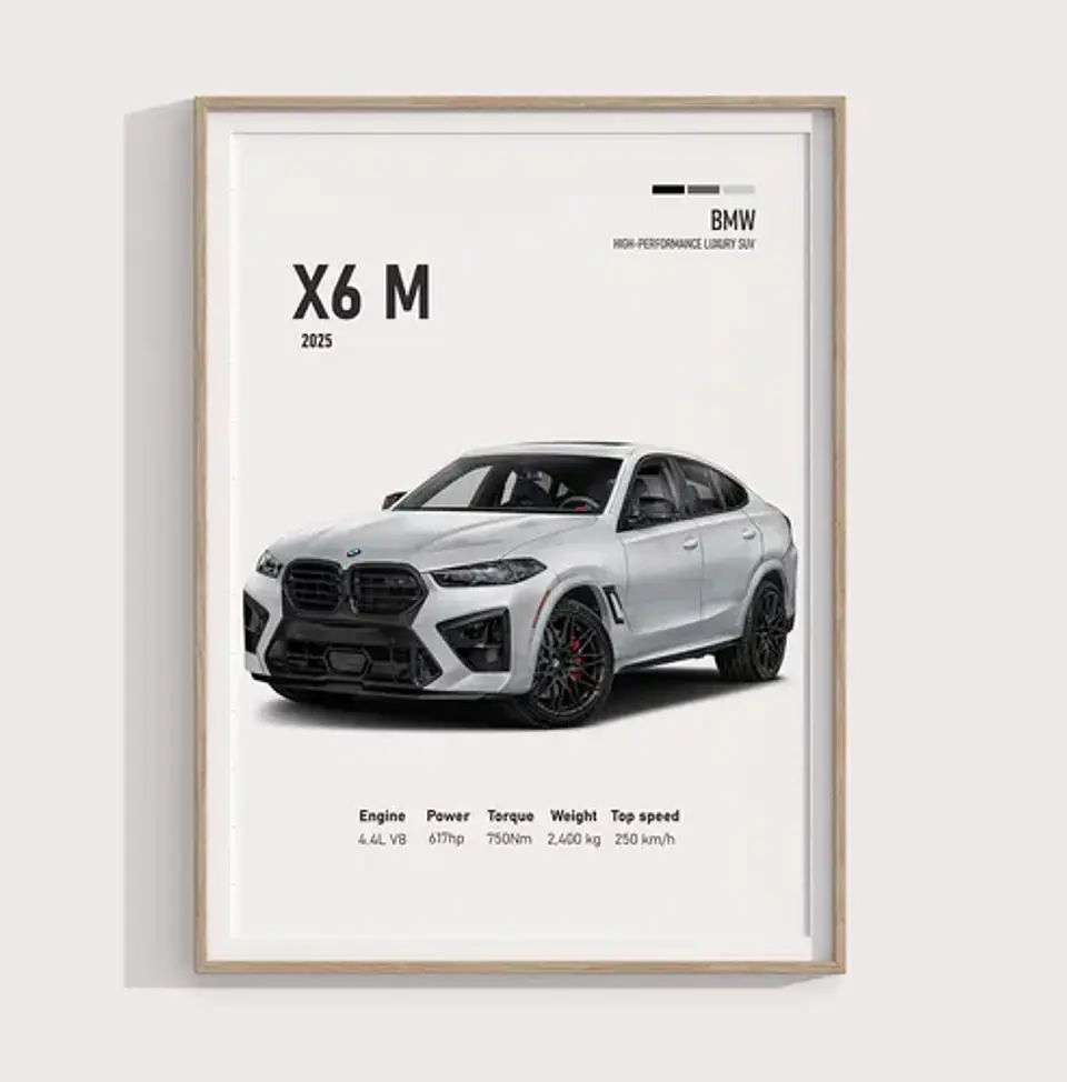 Cuadro Camioneta Bmw X6 M + Marco 2