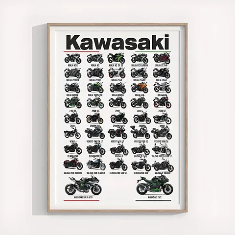Cuadro Motos Colección Kawasaki Deportivo + Marco