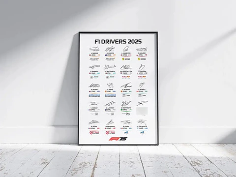 Cuadro F1 Campeonato Formula 1: Pilotos Y Firma, Autografos