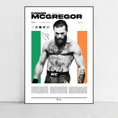 Cuadro Conor Mcgregor Peleador Artes Marciales Ufc + Marco