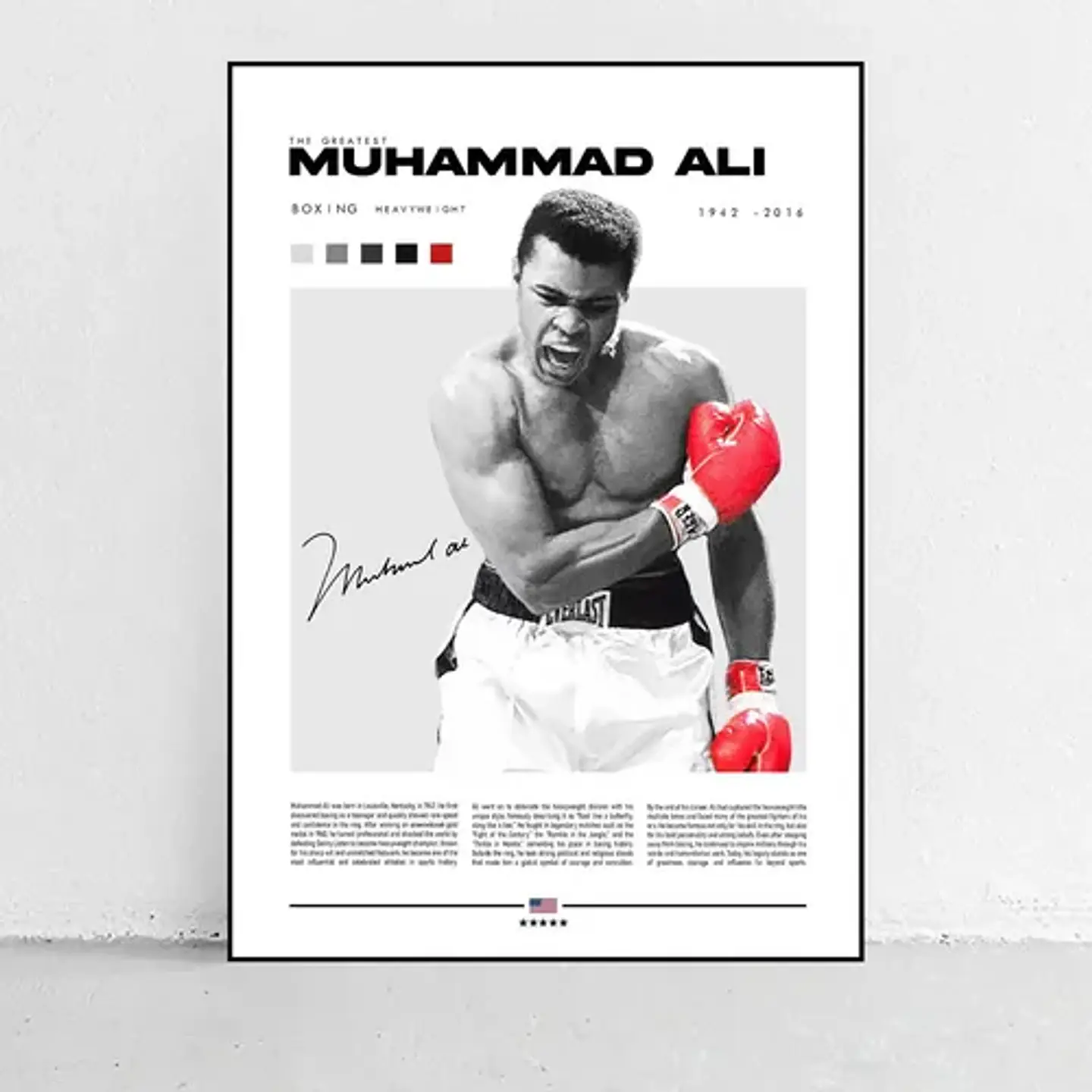 6 Cuadros De Leyendas Boxeo Peleadores Boxeadores + Marco 4