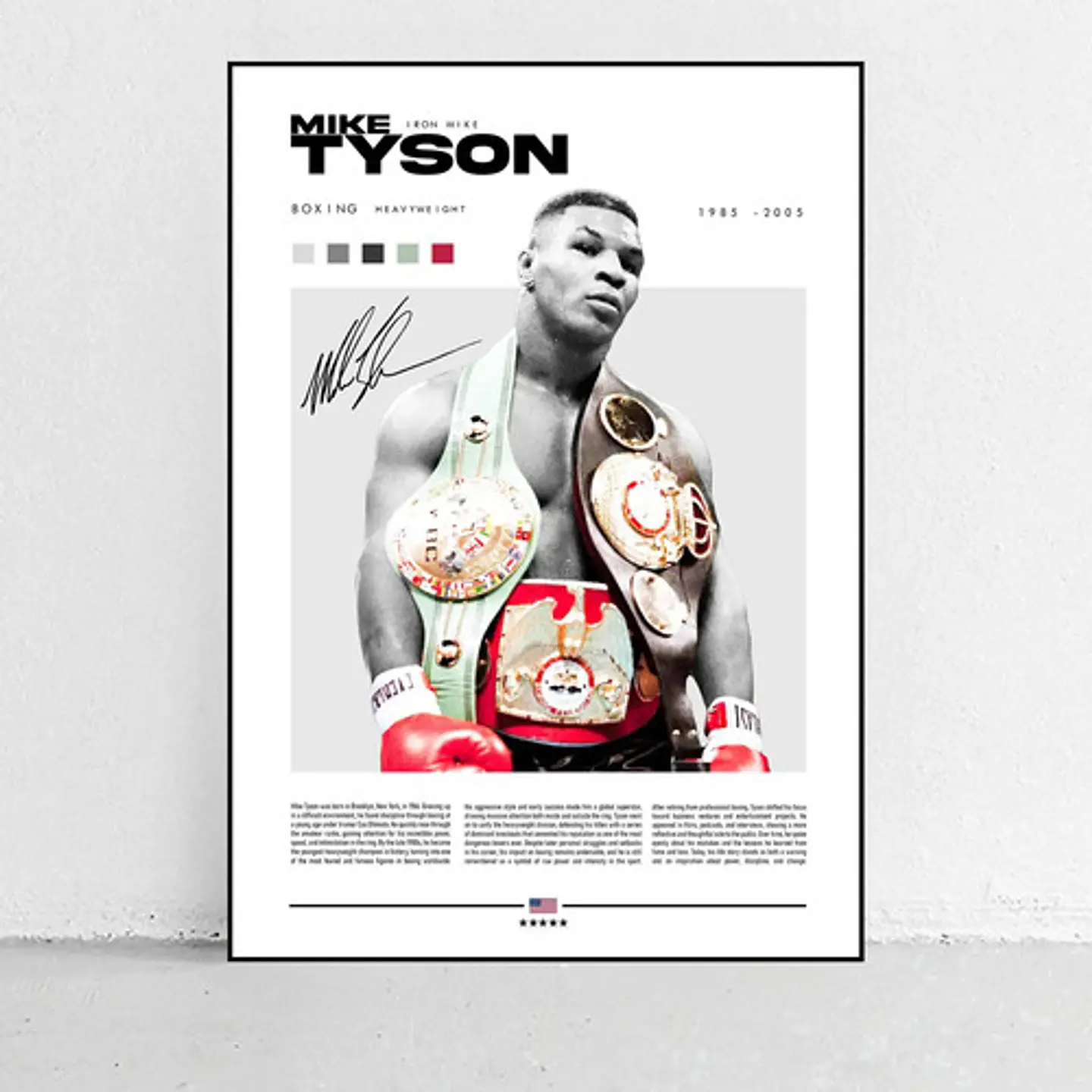 6 Cuadros De Leyendas Boxeo Peleadores Boxeadores + Marco 8