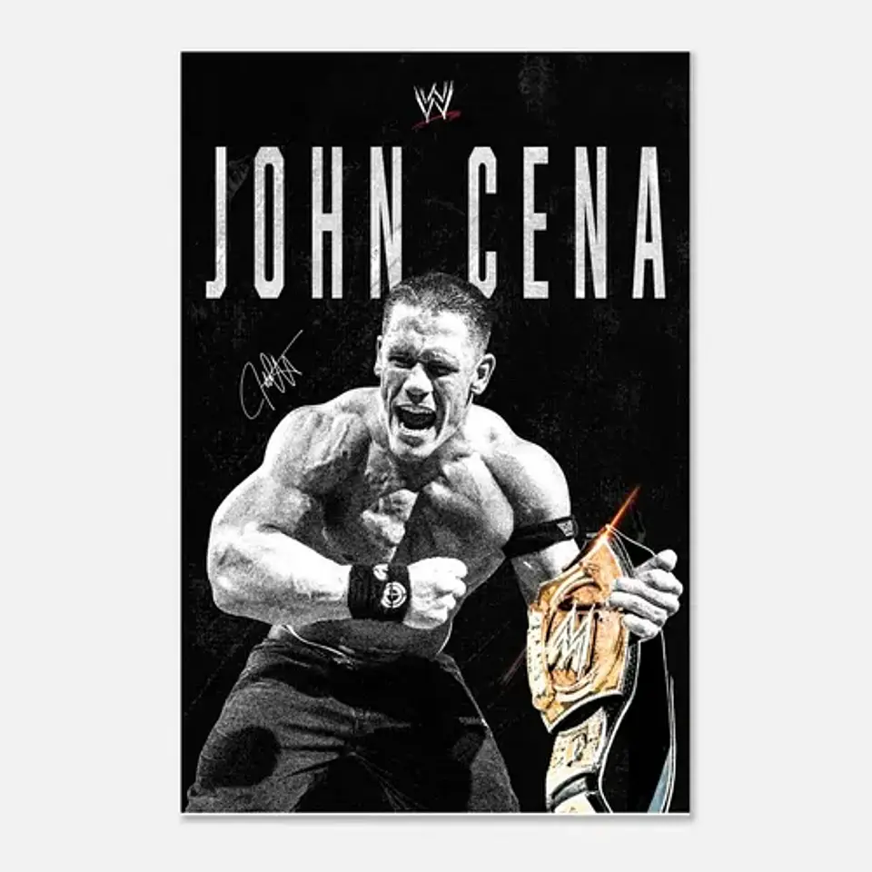 3 Cuadros De Wwe John Cena Superestrella 2