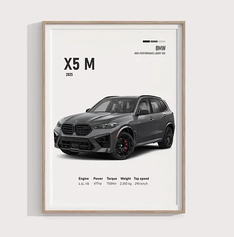 Cuadro Auto Bmw X5 M Deportivo + Marco