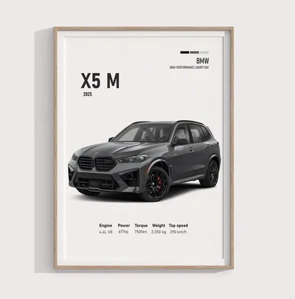 Cuadro Auto Bmw X5 M Deportivo + Marco 1