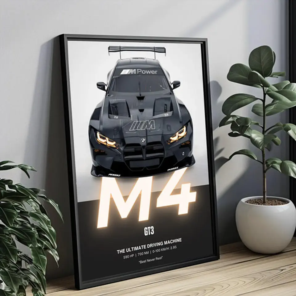 Cuadro Bmw M4 Gt3 Evo Deportivo + Marco Negro 1