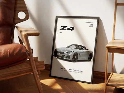 Cuadro Auto Bmw Z4 Deportivo + Marco