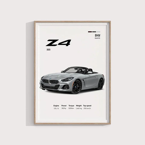Cuadro Auto Bmw Z4 Deportivo + Marco