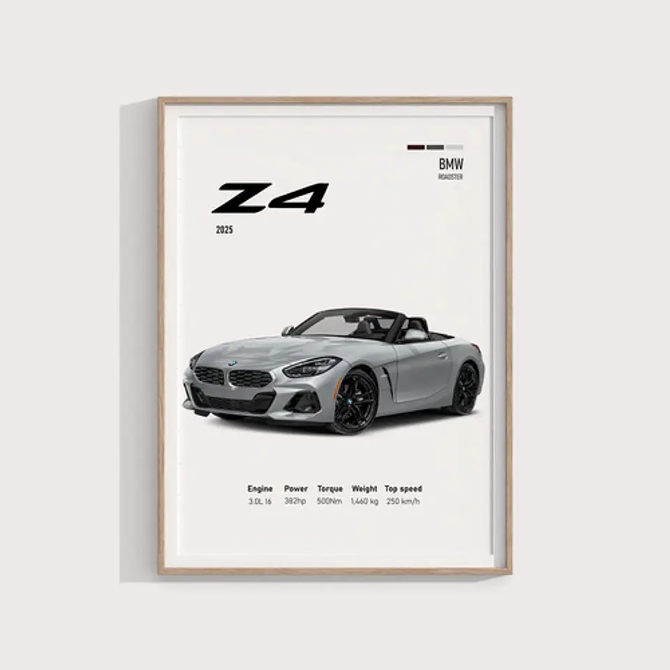 Cuadro Auto Bmw Z4 Deportivo + Marco 2