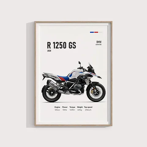 Cuadro Moto Bmw R 1250 Gs Deportivo + Marco