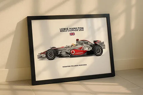 Cuadro Fórmula 1 De Lewis Hamilton Mclaren Mp4-23 2008