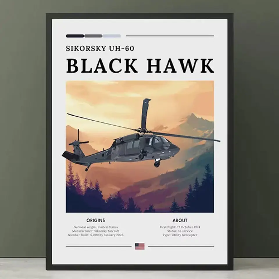 12 Cuadros De Aviación Guerra Colección 1 Avión Combates 5