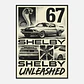 Cuadro Auto Mustang Shelby 67 Deportivo + Marco - Miniatura 2