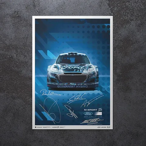 Cuadro Sébastien Loeb & Isabelle Galmiche  Ford Rally Dakar