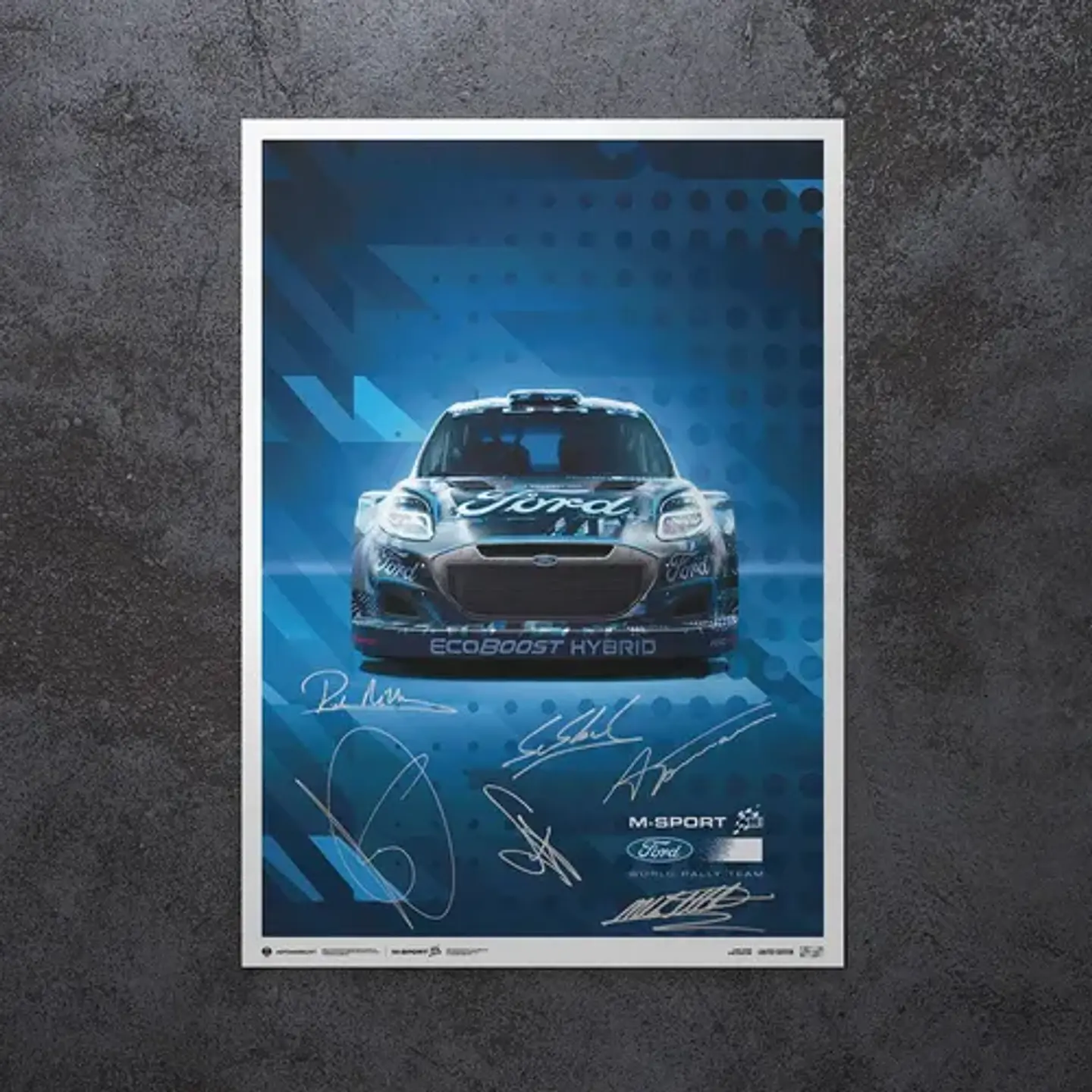 Cuadro Sébastien Loeb & Isabelle Galmiche  Ford Rally Dakar 1